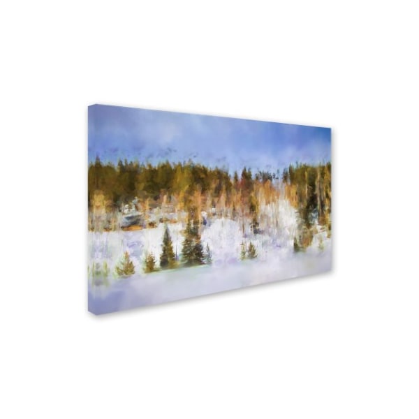 Jai Johnson 'Colorado Color Splash 2' Canvas Art,22x32